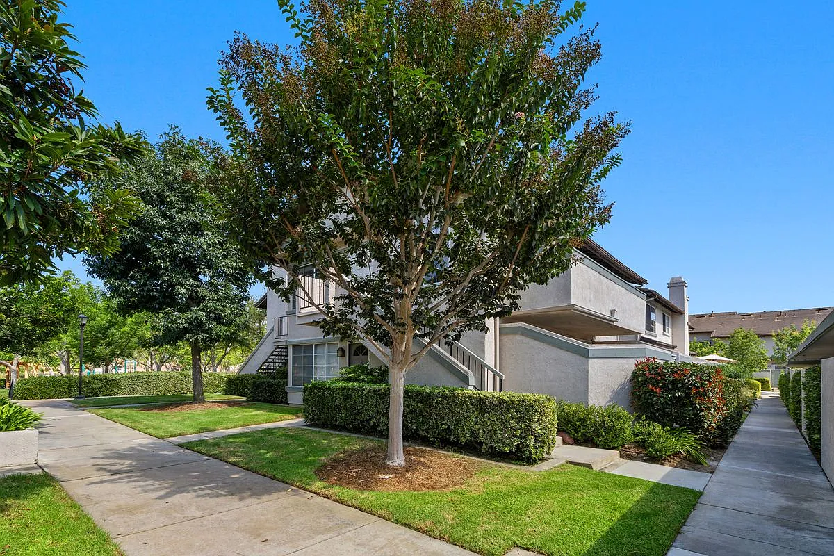2 bed, 1.0 bath, 917 sqft, $3,350 — Photo 4