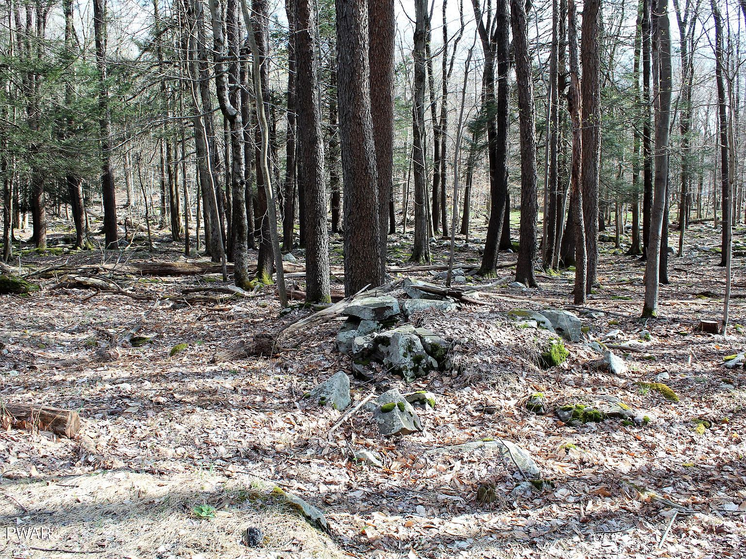 28 Stillwater Dr, Newfoundland, PA 18445 Zillow