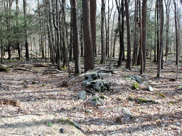 28 Stillwater Dr, Newfoundland, PA 18445