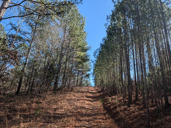 5th image of 1902 Horner Hollow Rd