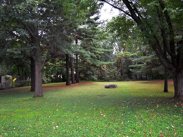 Backyard.