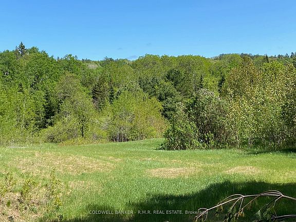 3rd image of 1274 Holland Lake Rd