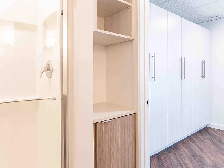 Shower and storage cabinet with open shelves above