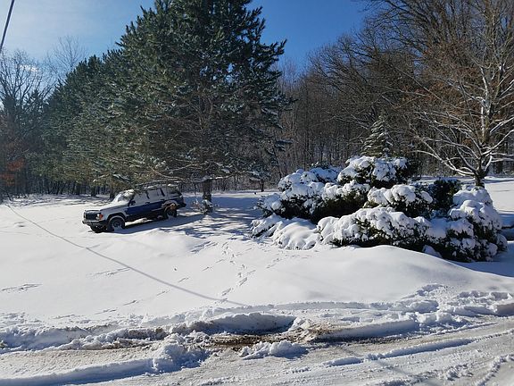 Street View Front Yard