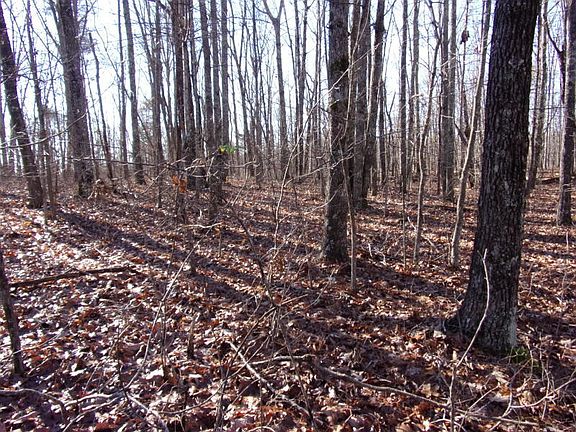 4th image of Rocky Creek Dr