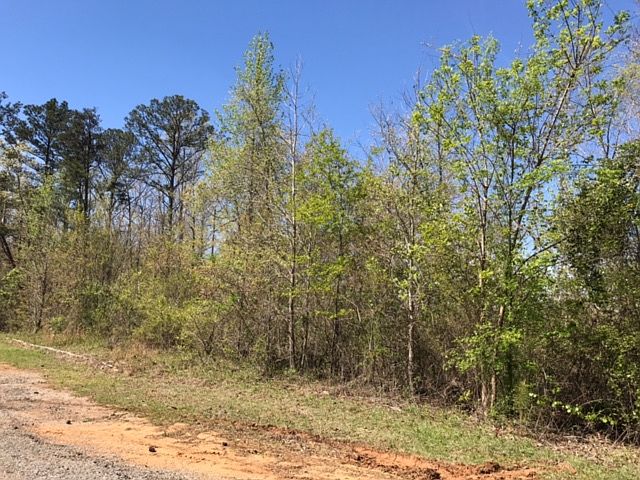 1st image of Oak Leaf Ct #13