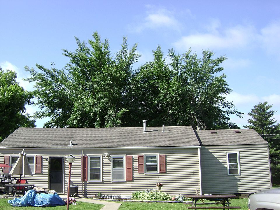 Rear View