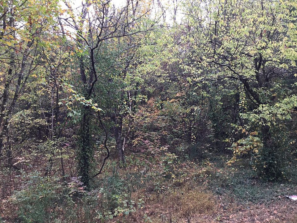 2nd image of 0 Hodges Ferry Rd Lot 19