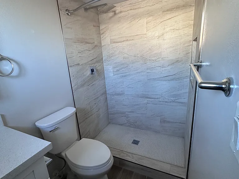 Master bath, new toilet, shower rebuild
