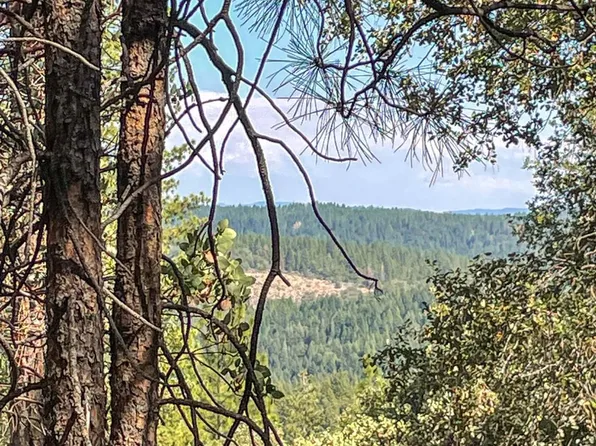 18644 Gold Creek Trl, Volcano, CA 95689