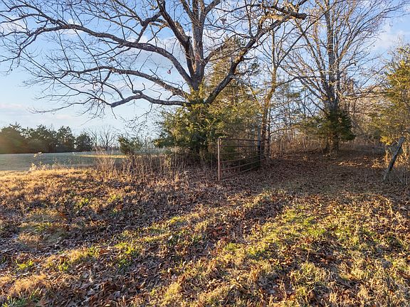 21st image of this home