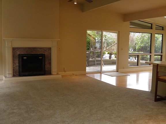 Wood burning fireplace