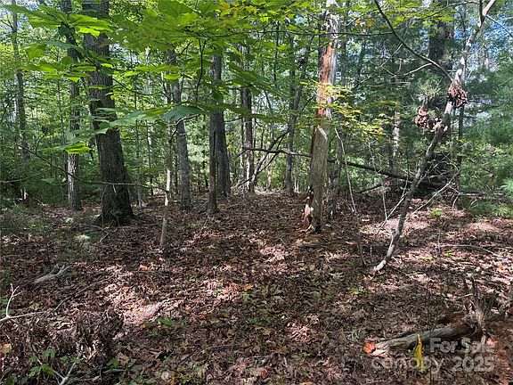 4th image of Forest Country Dr #66