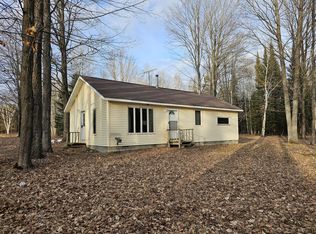 9437 Buzzel Rd, Onaway, MI 49765