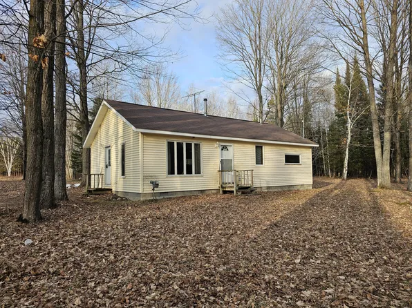 9437 Buzzel Rd, Onaway, MI 49765