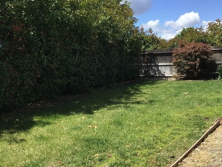 5635 Meadow Brook Way — Photo 10