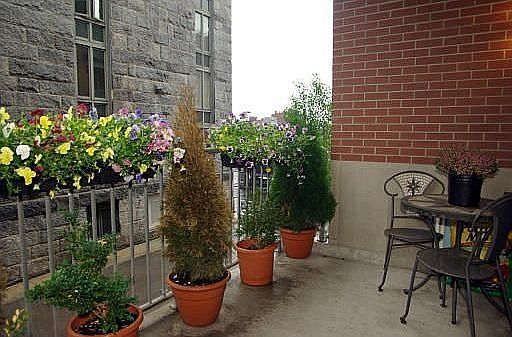 Balcony