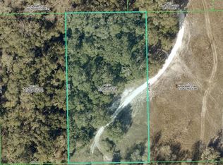 33099 CORAL ROCK DRIVE LOT 13, WEBSTER, FL 33597