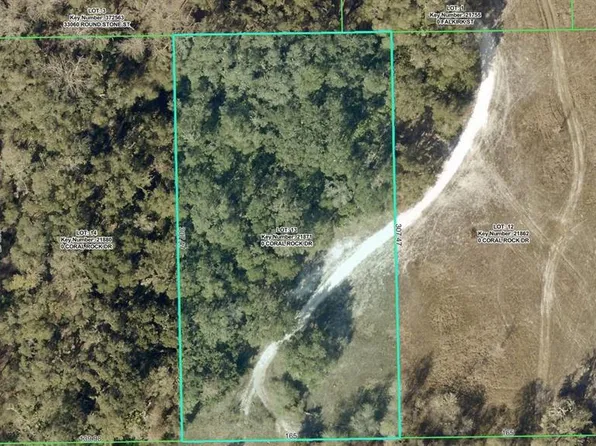 33099 CORAL ROCK DRIVE LOT 13, WEBSTER, FL 33597