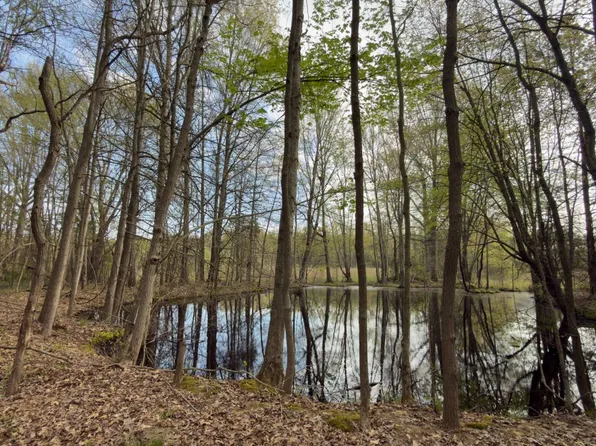 0 Henson Rd, Bethel, OH 45106