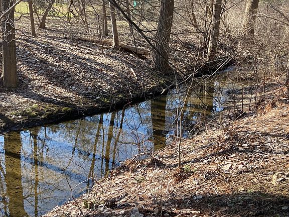 creek behind the home
