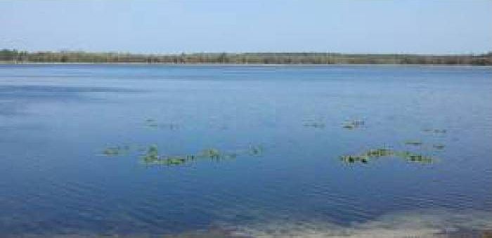 View of the Lake