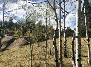 833 Pinon Ln, Florissant, CO 80816