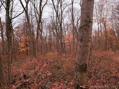 72D Walnut Street, Seymour, CT, 06483