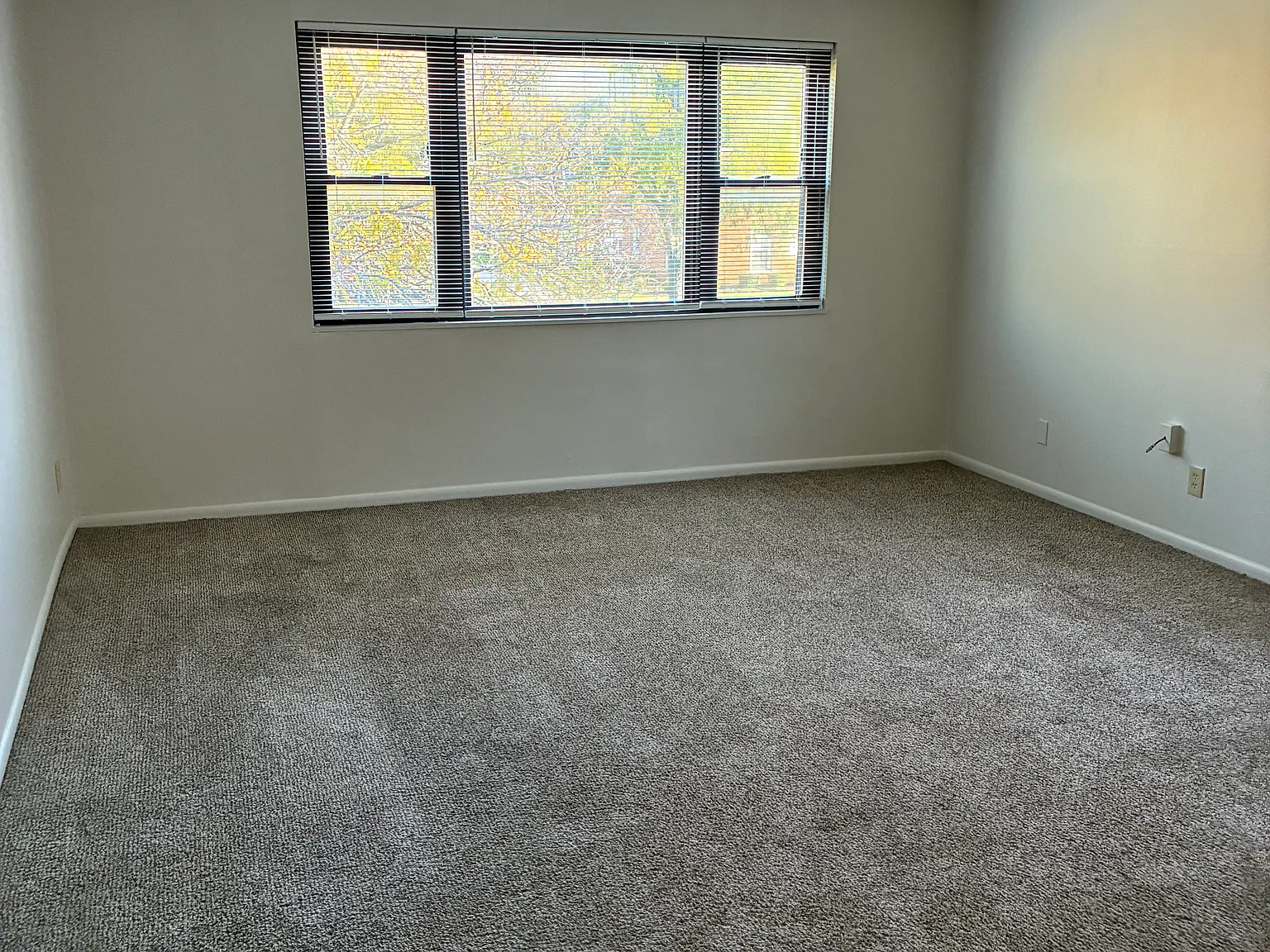 1 bed, 700 sqft, $850 — Photo 2