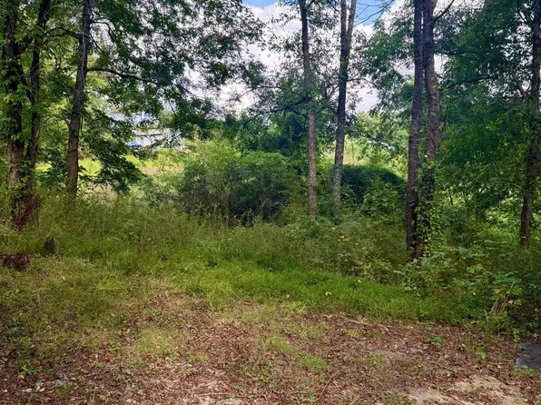 7526 Cahaba Ave #9/1, Leeds, AL 35094