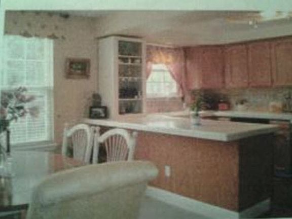 Dining / Kitchen