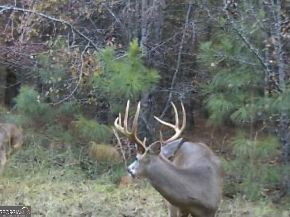 1st image of 0 Chauncey Rhine Hwy Lot Wp001