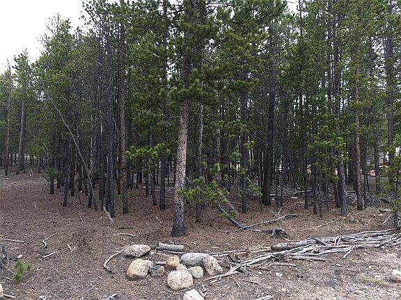 2nd image of 588 Juniper Dr