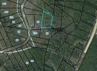 20 Hawks Way, Waynesville, GA 31566