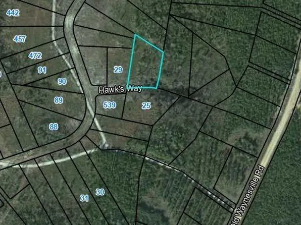 20 Hawks Way, Waynesville, GA 31566