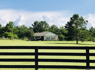 15163 NW 174th Ln, Alachua, FL 32615