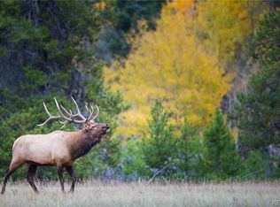 8570 S Warhawk Rd, Conifer, CO 80433