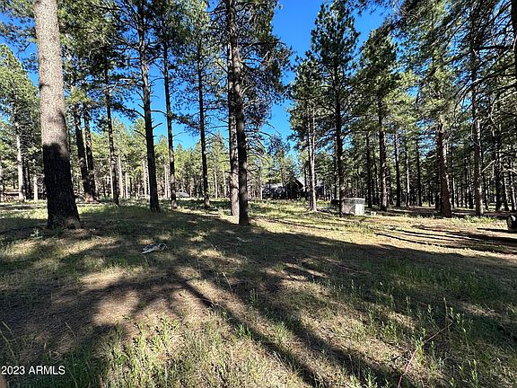 5th image of 586A Old Munds Highway #5