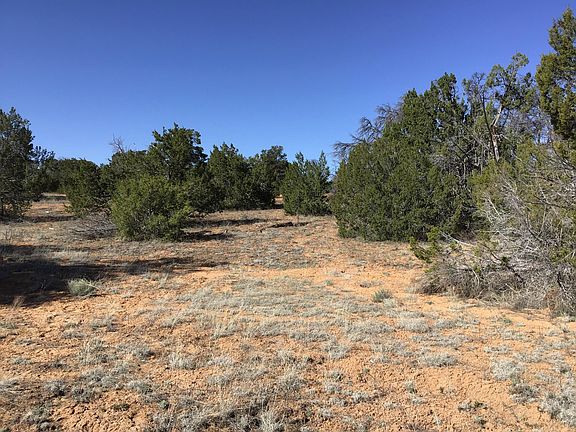 4th image of LOT 300 Edgewood Dr