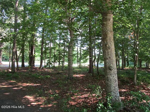 3rd image of Lot 1 Roanoke Drive W LOT 1