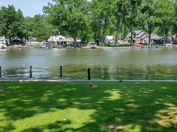 View from porch, with dock. (Dog not included; bring your own.)
