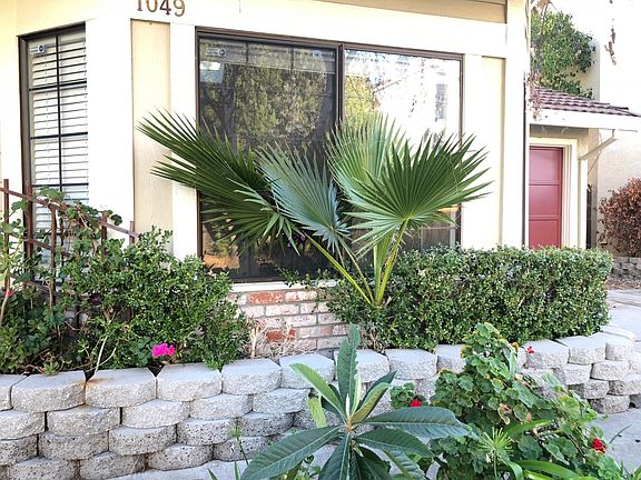 3rd image of 1049 Alamitos Creek Dr