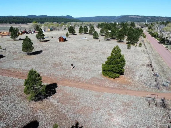 50 Luna Valley Dr, Luna, NM 87824