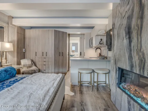 914 Waters Ave APT 12, Aspen, CO 81611