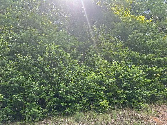 2nd image of LOT 13 Apache Rd Lot 13