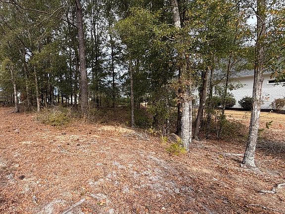 3rd image of 2580 E Timber Crest Drive NE LOT 167