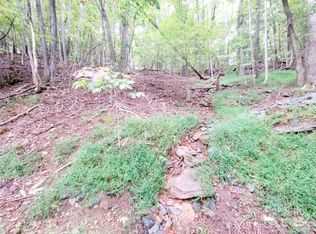 47 Sourwood Dr #197, Mills River, NC 28759