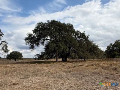 0 County Road 302, Runge, TX, 78151