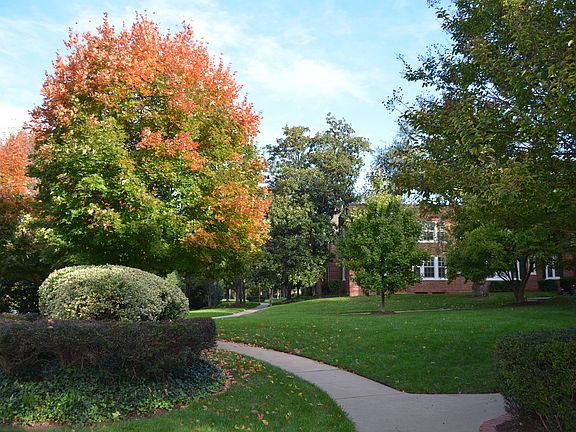 Common Green Space
