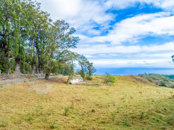 43-1935 Pohakea Mauka Rd Lot 27, Paauilo, HI 96776